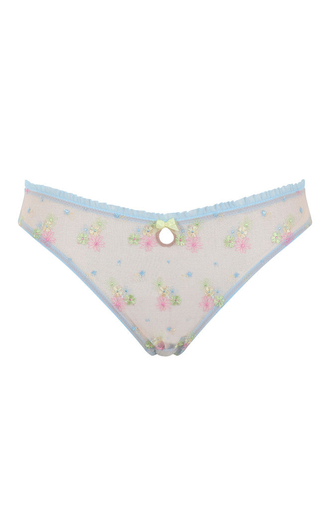 Astrid Brazilian brief