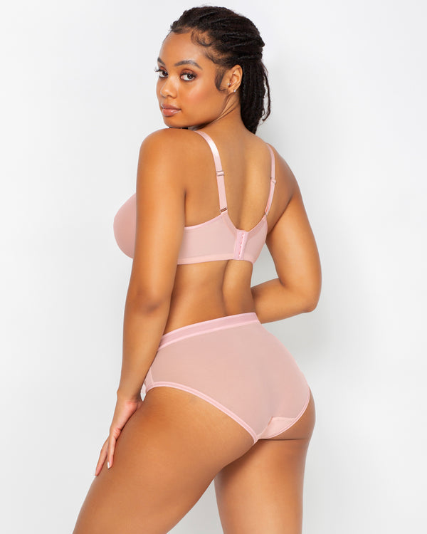 Sheer Mesh High Cut Brief - Blushing Rose