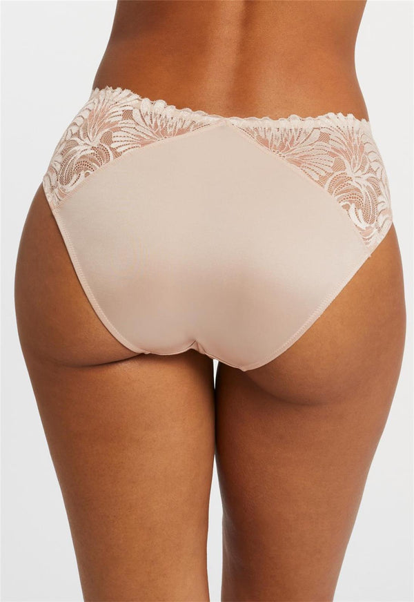 Lotus Brief