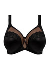 Cate Allure Full Cup Banded Bra