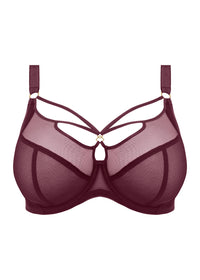 Elomi Sachi Plunge Cabernet