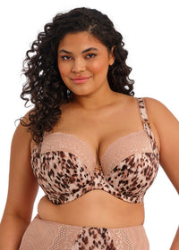 Elomi Lucie Plunge Bra Wildcat