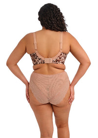 Elomi Lucie High Leg Brief Wildcat