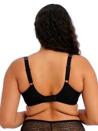 Elomi Lucie Banded Stretch Lace plunge bra
