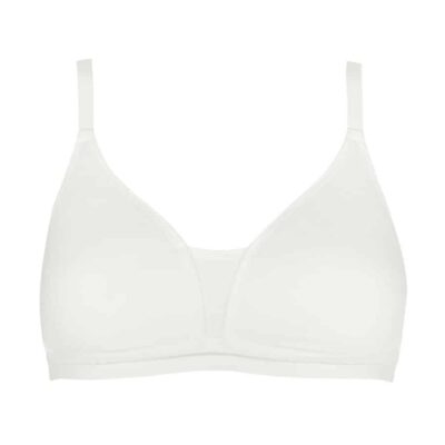 Royce Posie Ivory