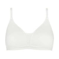 Royce Posie Ivory