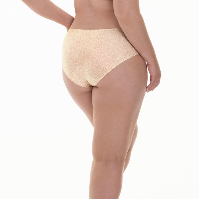 Rosa Faia Smart Rose brief