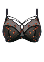 Elomi Sachi Black Butterfly Plunge Bra