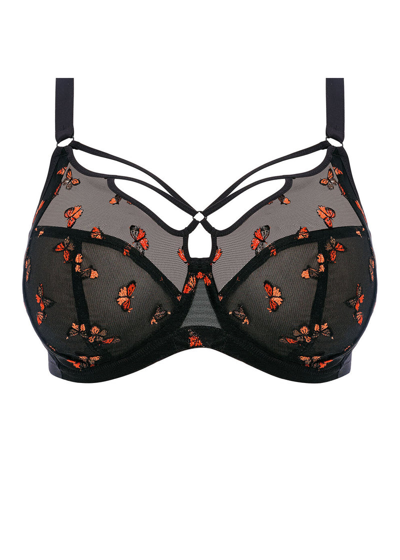 Elomi Sachi Black Butterfly Plunge Bra